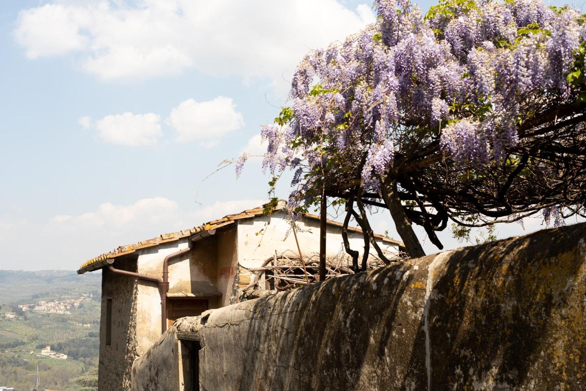 B&B Le Cannelle Fiesole Kültér fotó