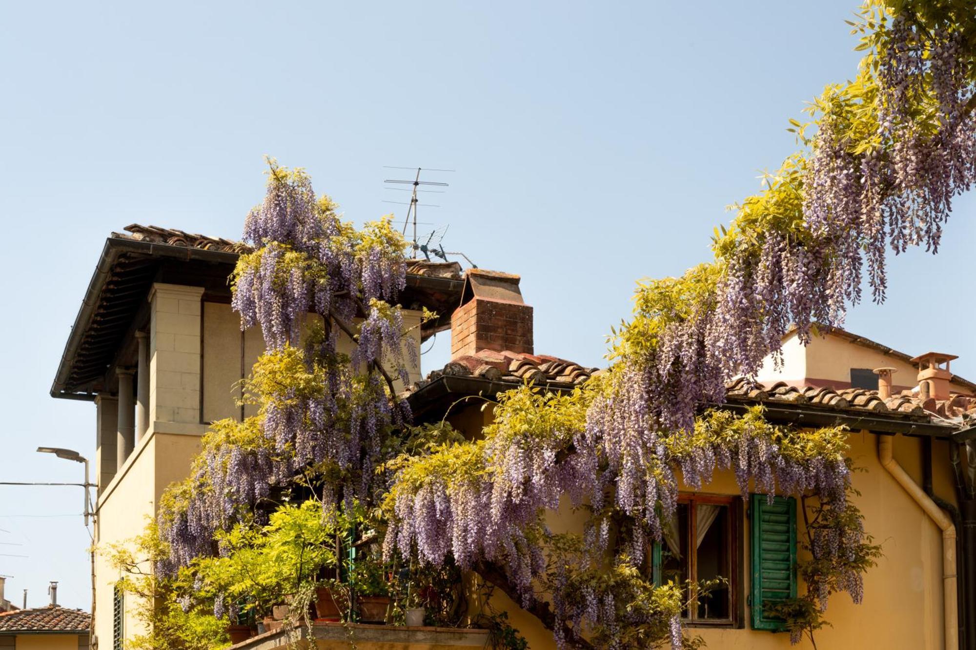 B&B Le Cannelle Fiesole Kültér fotó